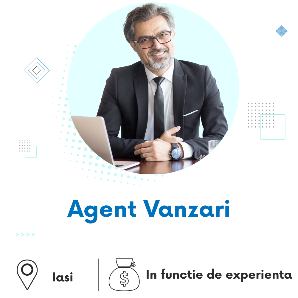 Iasi Agent Vanzari Job RecrutareOnline.ro